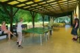 /album/fotogalerie/ping-pong-a-terasa-jpg/